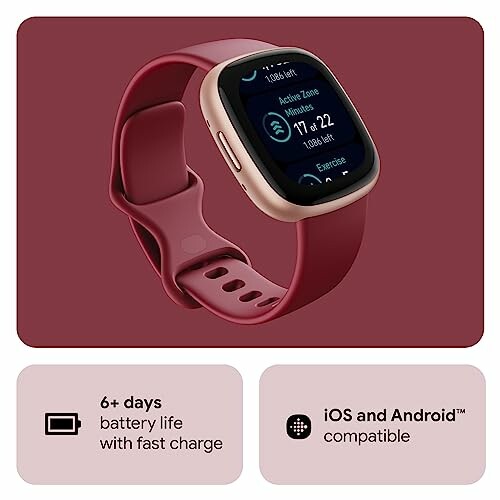 Google Fitbit Versa 4